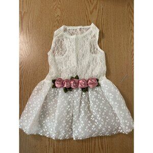 New Doggie 🐶 Girlie Lacey Dress White size Small 18”Lx9.5”W